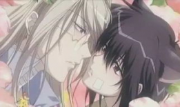 耽美h动漫,浪漫与禁忌的交织世界