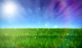 青青草草视频,探寻自然之美，感受生命活力